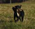 Payton training