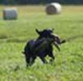 Payton training